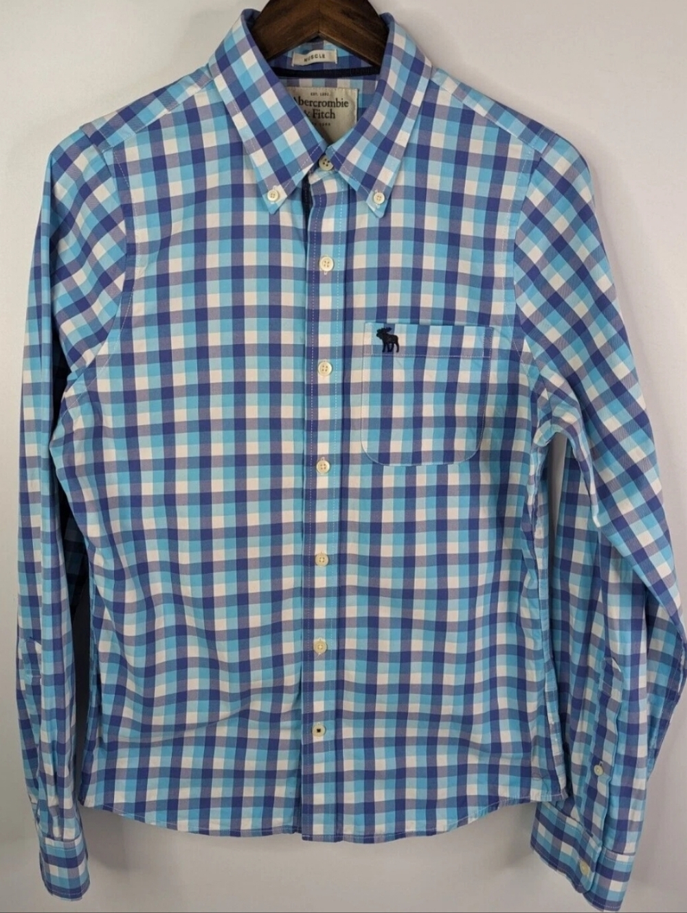 Abercrombie & Fitch Blue White Teal Checkered Button Down Muscle Fit